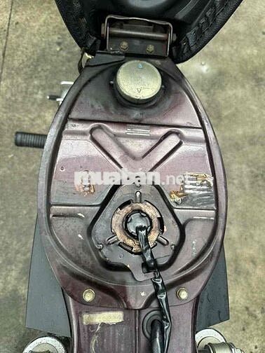 Honda Dream 100 1998 màu Nho