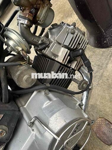 Honda Dream 100 1998 màu Nho