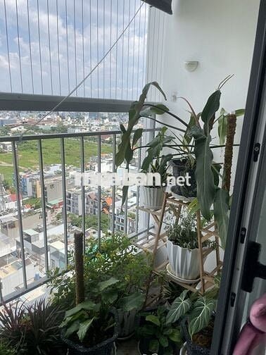 CTL THAM LƯƠNG 3PN - 2WC GIÁ 4TY2 SỔ HỒNG SẴN