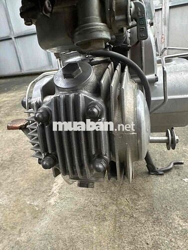 Honda Dream 100 1998 màu Nho