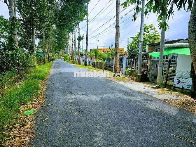 Bán đất mặt tiền 15m lộ Cái Chanh. Đón đầu khu nghỉ dưỡng MeKong