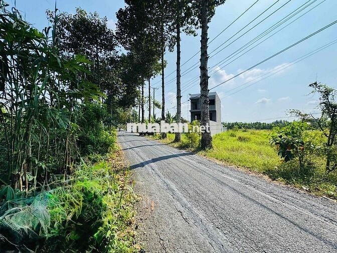 Bán đất mặt tiền 15m lộ Cái Chanh. Đón đầu khu nghỉ dưỡng MeKong