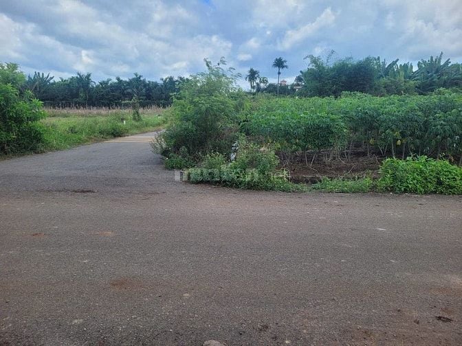 CÔNG TY ĐẤU GIÁ HỢP DANH MINH PHÁP THÔNG BÁO ĐẤU GIÁ TÀI SẢN