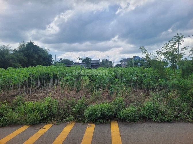 CÔNG TY ĐẤU GIÁ HỢP DANH MINH PHÁP THÔNG BÁO ĐẤU GIÁ TÀI SẢN