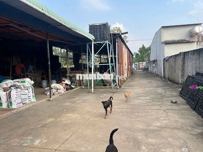 CHO THUÊ KHO XƯỞNG 14MX72M GIÁ RẺ. ĐƯỜNG CONTAINER, ĐIỆN 3P TI,