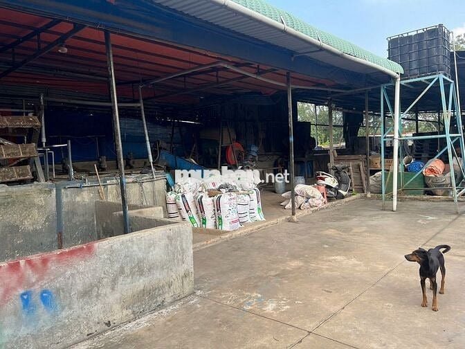 CHO THUÊ KHO XƯỞNG 14MX72M GIÁ RẺ. ĐƯỜNG CONTAINER, ĐIỆN 3P TI,