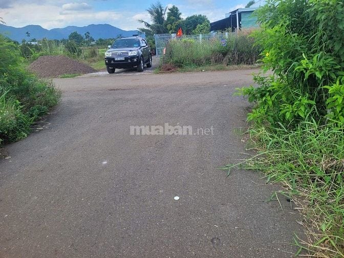 CÔNG TY ĐẤU GIÁ HỢP DANH MINH PHÁP THÔNG BÁO ĐẤU GIÁ TÀI SẢN