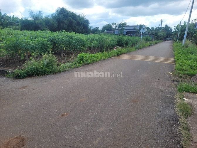 CÔNG TY ĐẤU GIÁ HỢP DANH MINH PHÁP THÔNG BÁO ĐẤU GIÁ TÀI SẢN