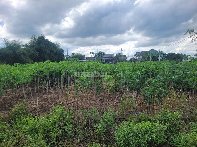 CÔNG TY ĐẤU GIÁ HỢP DANH MINH PHÁP THÔNG BÁO ĐẤU GIÁ TÀI SẢN