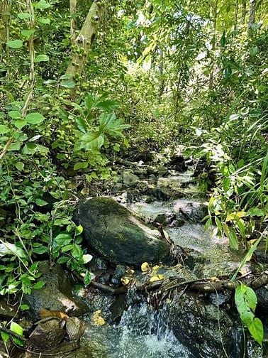 ĐẤT VƯỜN NGHỈ DƯỠNG ĐẸP CẬN TẾT - BÁM SUỐI - VIEW HỒ TRỊ AN - SĂN MÂY 