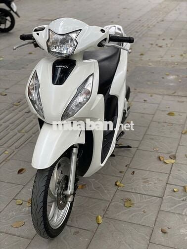 Vision 2021 Trắng biển tỉnh