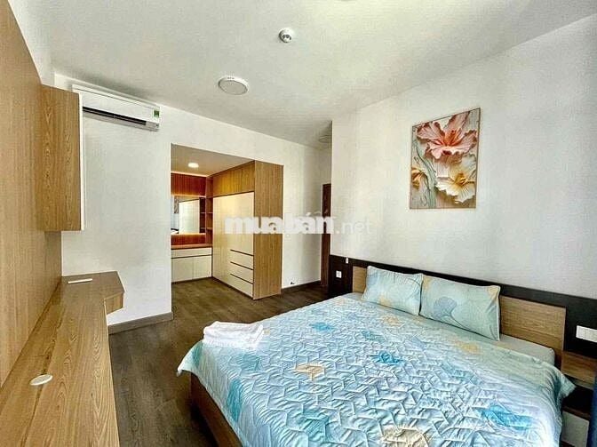 Chuyên cho thuê căn hộ Diamond Alnata