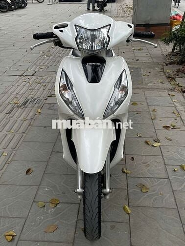 Vision 2021 Trắng biển tỉnh