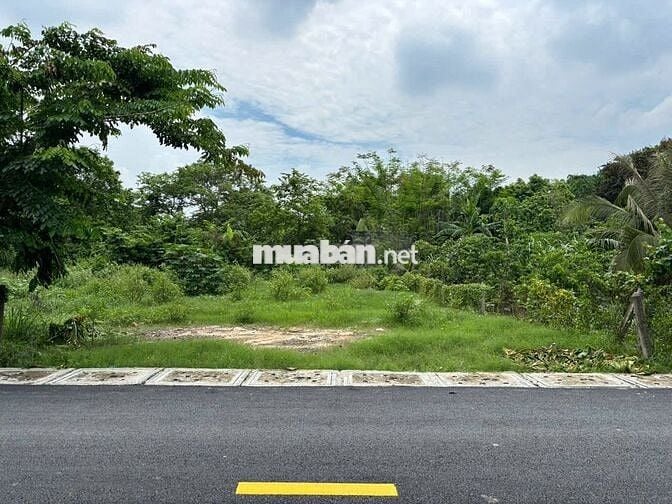 MUA 1 ĐƯỢC 2 LÔ ĐẤT MT ĐƯỜNG TT CỦ CHI 224M2 SHR FULL TC CHỈ 720TR TL