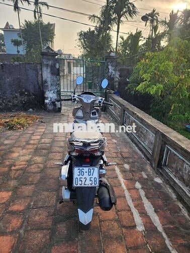 Bạch mã mãi sinh mãi phát