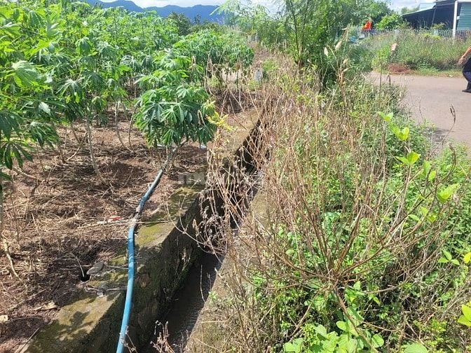 CÔNG TY ĐẤU GIÁ HỢP DANH MINH PHÁP THÔNG BÁO ĐẤU GIÁ TÀI SẢN