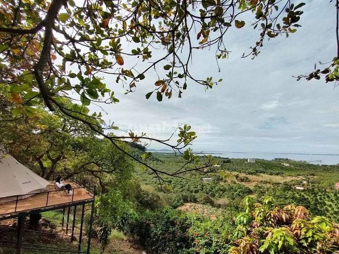 ĐẤT VƯỜN NGHỈ DƯỠNG ĐẸP CẬN TẾT - BÁM SUỐI - VIEW HỒ TRỊ AN - SĂN MÂY 