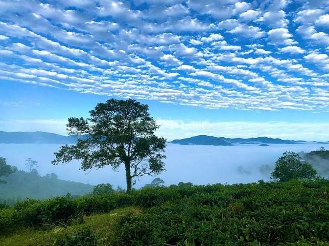 ĐẤT VƯỜN NGHỈ DƯỠNG ĐẸP CẬN TẾT - BÁM SUỐI - VIEW HỒ TRỊ AN - SĂN MÂY 