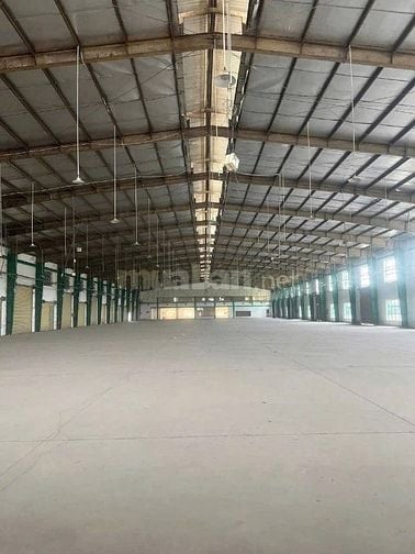 Cho thuê xưởng ngã 3 gò mối  mỹ hạnh đức hòa dt 8000m