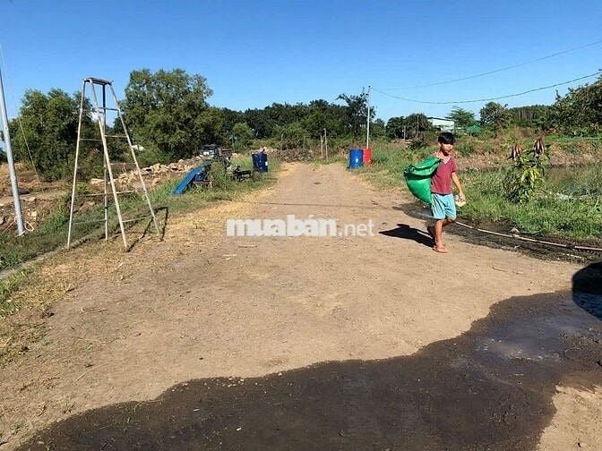 Đất vườn 2,6 ha tại xã Đất Đỏ, TP HCM