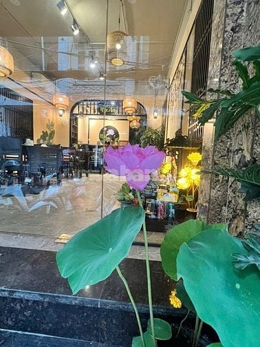 Sang nhượng nhà hàng chay Mộc An số 10 ngõ 101 Hào Nam, 80m2x5 tầng