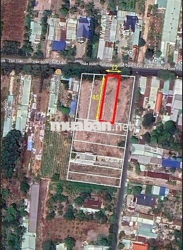 ĐẤT VÀNG PHÚ MỸ: 12M MẶT TIỀN HẮC DỊCH TÓC TIÊN – 100M² THỔ CƯ