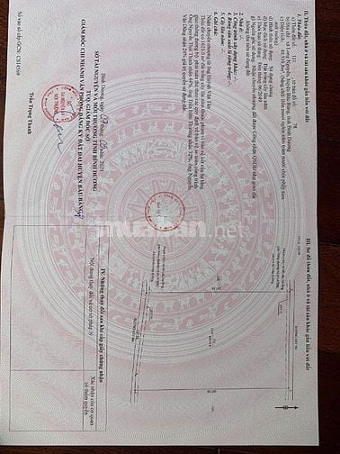 BÁN ĐẤT TRỒNG CÂY LÂU NĂM LÊN SKC