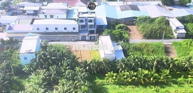 Đất ở đô thị - Phường Tân Hạnh