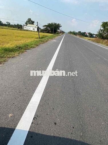 Đất 3 mặt tiền đường Hồ Chí Minh - Long An, thổ cư 300m