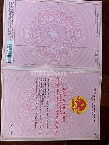 BÁN ĐẤT TRỒNG CÂY LÂU NĂM LÊN SKC