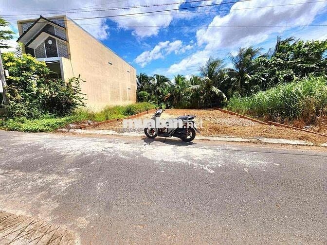 Đất ở đô thị - Phường Tân Hạnh