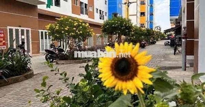 Sở hữu sổ hồng nhà ở xã hội Nhơn Trạch chỉ với 154tr trả trước, lãi su