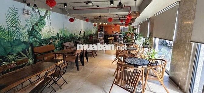 Cho Thuê Mặt Bằng Đường Bạch Đằng, Tân Bình ( 200m2 - KD TỰ DO )
