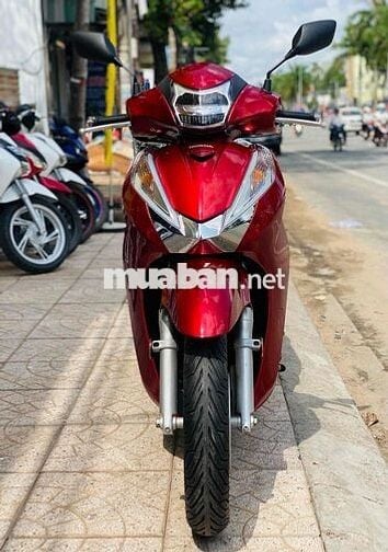 SH 300 bản chữ T báo nhiệt nhập ý xe đẹp chuẩn🇮🇹