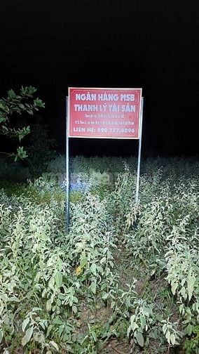 Công ty đấu giá hợp danh Sao Việt