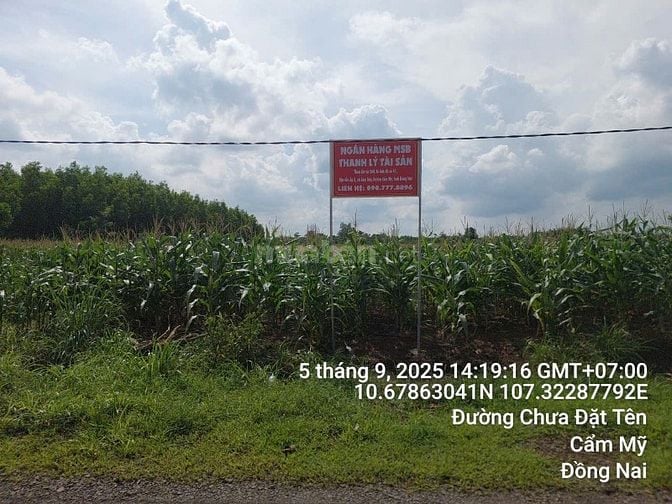 Công ty đấu giá hợp danh Sao Việt