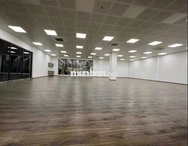 Cho thuê Tòa nhà Mặt tiền Đường Nguyễn Văn Nguyễn, P. Tân Định, Quận 1