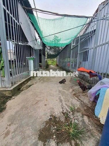 bán đất chính chủ có thổ cư có thể xây dưng ngay và tách ra dươc 2căn