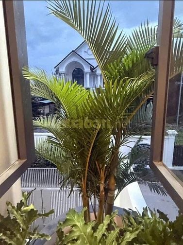 🔥420TR CÓ NGAY CĂN NHÀ VỪA Ở - VỪA CHO THUÊ CHỢ TÂN HIỆP TPHCM