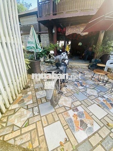 Xe suzuki nguyên bản