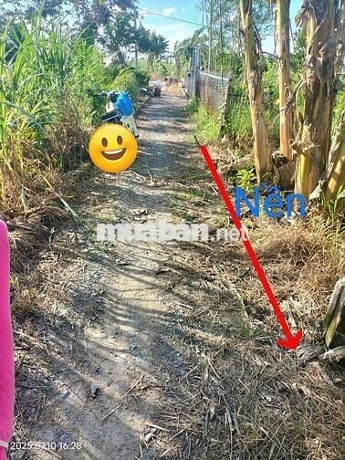 150m2 đất CLN - chính chủ - cách ubnd phường Long tuyền TPCT 800m