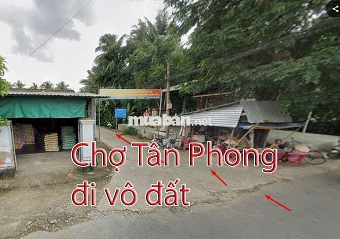 Giá rẻ đất Tân Phong, Thạnh Phú, Bến Tre 507m2. giá 350 triệu HH 3%