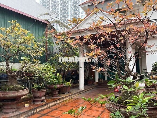 SIÊU HIẾM ÂU CƠ TÂY HỒ 315M2 119,8 Tỷ