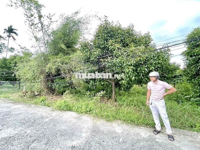 Nền 73m2 ONT - Lộ Oto 4m - Cách Chợ Phong Điền 3Km - Giá 485 Triệu