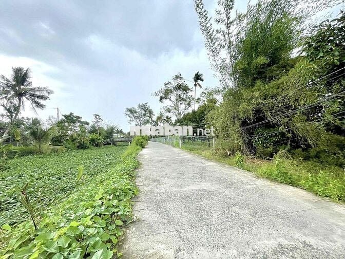 Nền 73m2 ONT - Lộ Oto 4m - Cách Chợ Phong Điền 3Km - Giá 485 Triệu