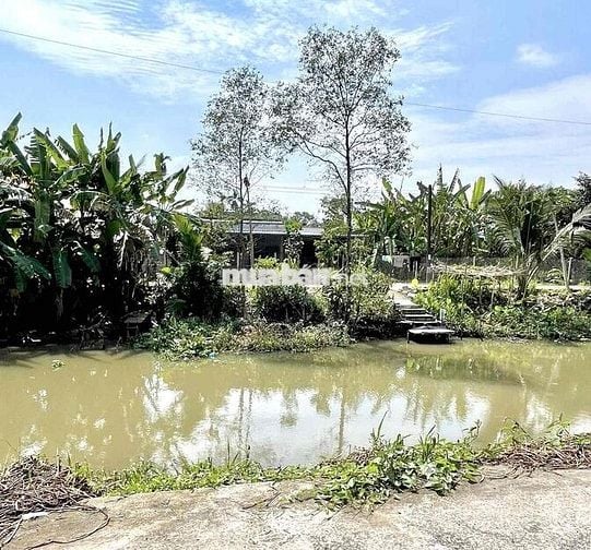 Nền 73m2 ONT - Lộ Oto 4m - Cách Chợ Phong Điền 3Km - Giá 485 Triệu