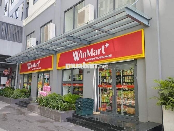 ⭐INTELA CHO THUÊ 2PN2WC NHÀ TRỐNG GIÁ CHỈ 5.5 TRIỆU CỌC 1 THÁNG