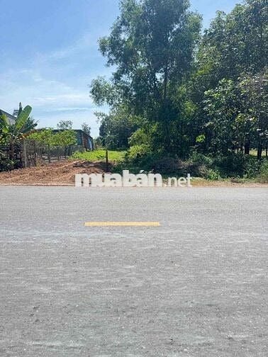 👉Đất HCM đường 32m giá chỉ 500k/m2👈