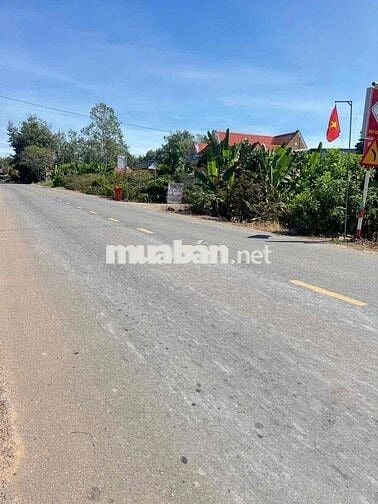 👉Đất HCM đường 32m giá chỉ 500k/m2👈