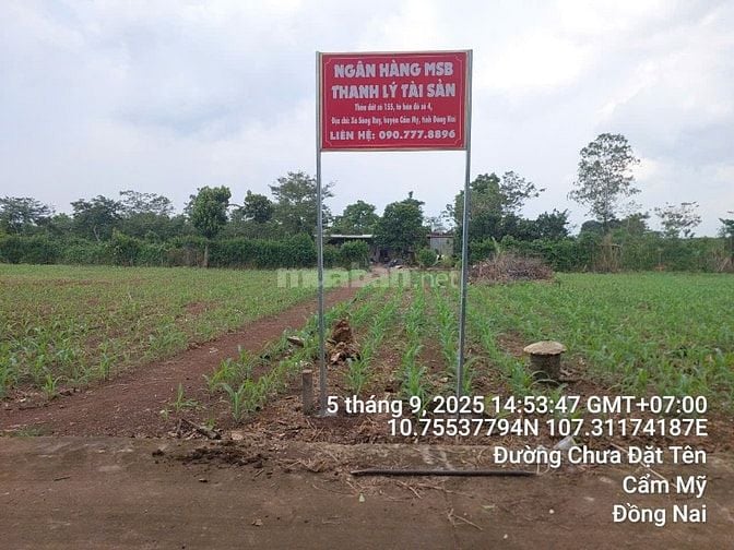 Công ty đấu giá hợp danh Sao Việt